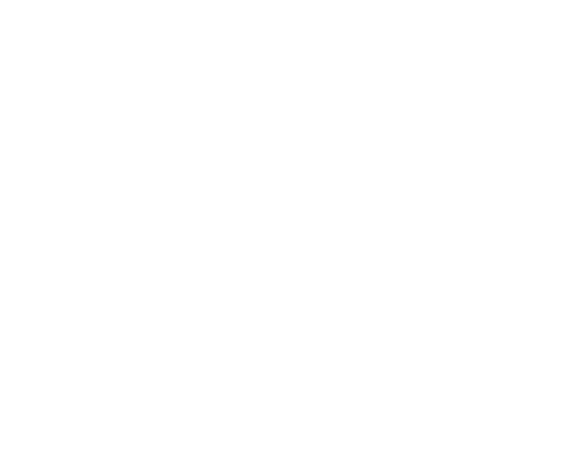 GANI Color logo